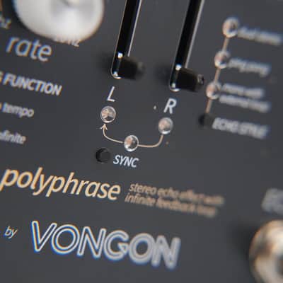 Vongon Polyphrase Stereo Echo Infinite Repeat Desktop Effects Unit #58701 image 14