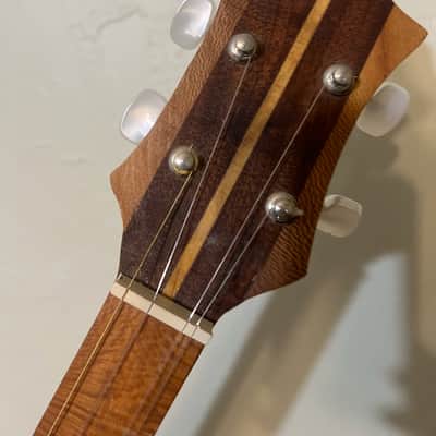 HANDCRAFTED! BRAND NEW!! Strumstick Backpacker Dulcimer 2026 image 5
