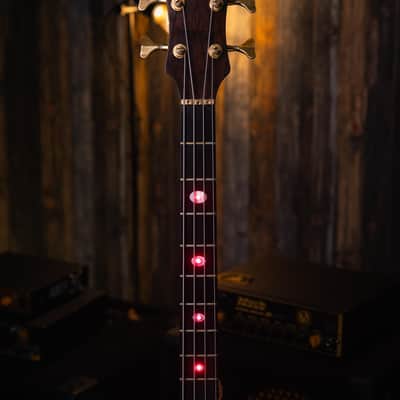 Alembic Serie II Cocobolo 1993 image 9