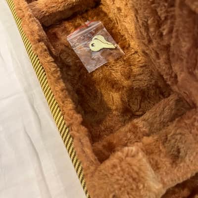 Fender Telecaster-50's Road Worn series 2019 With Case image 15