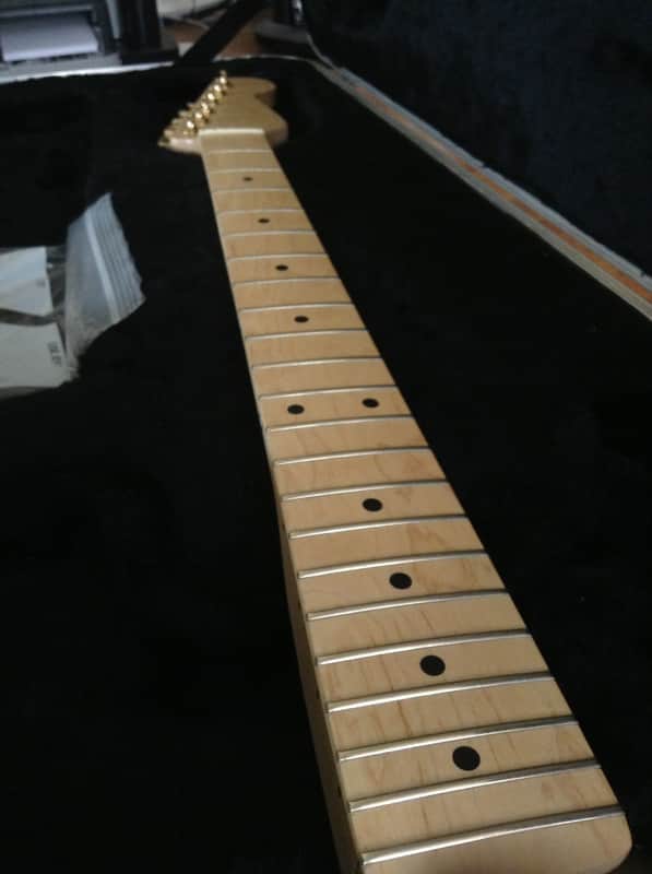 Other Stratocaster 2012 Maple image 1