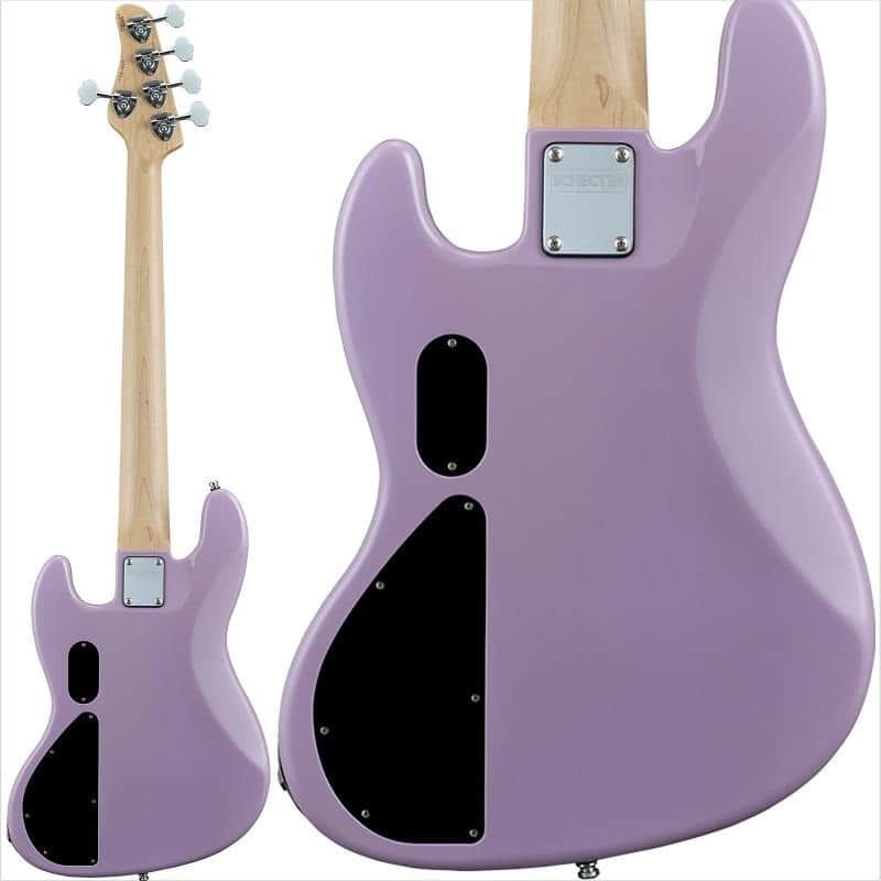 SCHECTER AC-EXB-5-AveMujica-Timoris/SIG [Timoris/Yawata Misuzu