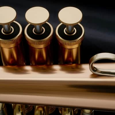 Adams F1 Selected Series Flugelhorn in Satin Lacquer! image 7