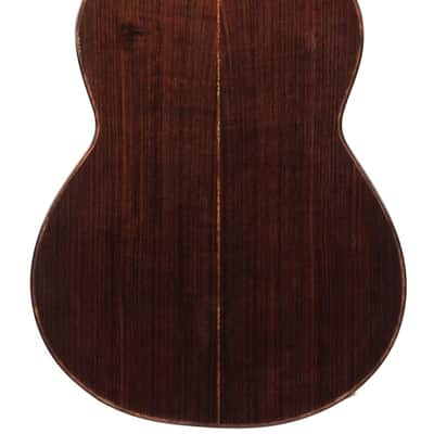 Mach Concert Standard Spruce Rosewood image 4