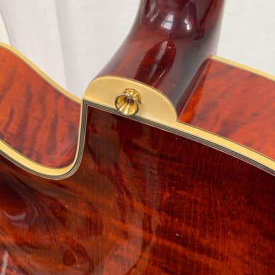 Eastman AR810CE – 2010 image 17