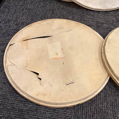 Grouping of Vintage Slingerland Calfskin Heads Pairs of 16", 22", 28" (Rm3) image 4