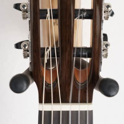 Cordoba  Fusion 12 Rose Classical Acoustic-Electric Guitar image 9