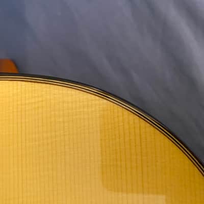 2022 Yulong Guo Hauser model / Spruce Top + HumiCase image 7