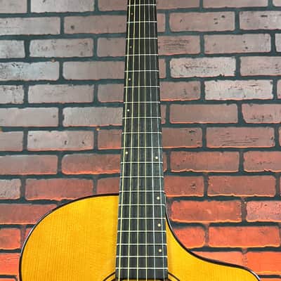 Breedlove Performer Pro Concert Thinline CE- Natural Aged Toner w/ Hard Case image 4