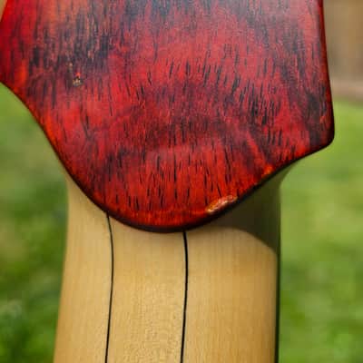 Swan RHO 5 Special NAMM 2022 image 10