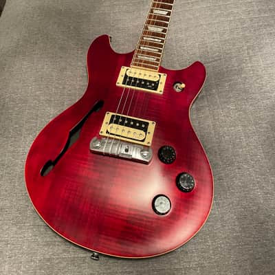Indie  Semi Hollow image 10