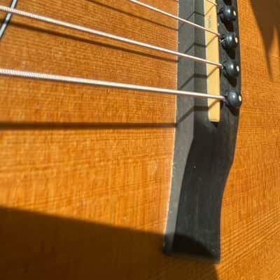 Taylor 110e Acoustic-Electric Guitar w/ Original Taylor Gig Bag image 6