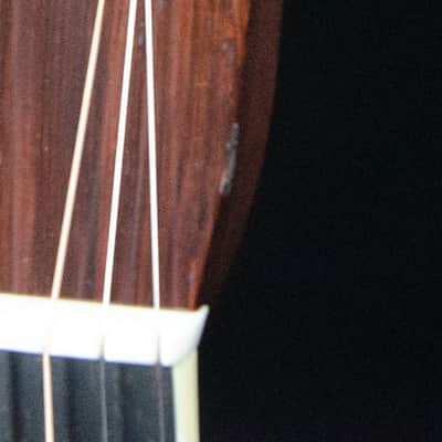 Bourgeois 2018 Large Soundhole Aged Tone OM, Torrefied Adirondack, Guatemalan RW, NAMM Show - VIDEO image 8
