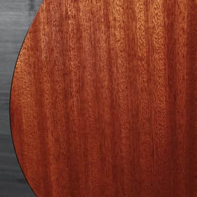Eastman Guitars E1P-DLX-SB Parlor Size Acoustic w/ LR Baggs Pickup image 11