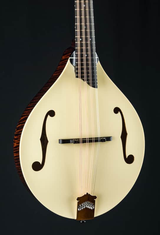 Collings MT Mandola Cream Gloss Top Adirondack Spruce and Flamed Maple NEW image 1