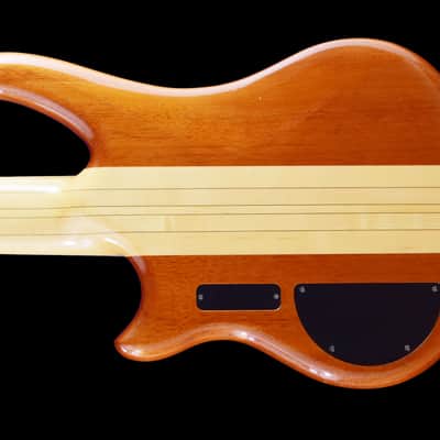 Alembic Essence 1998 image 5