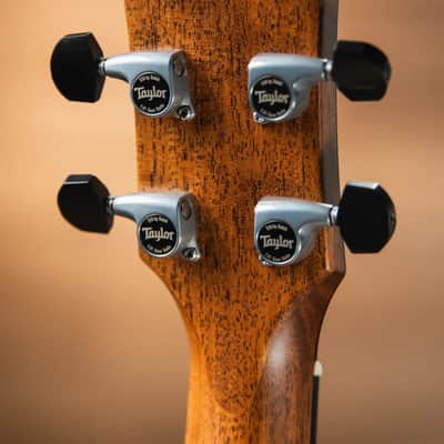 Taylor Gold Label 814e Super Auditorium Acoustic/Electric Guitar - Natural Top with Hardshell Case image 6