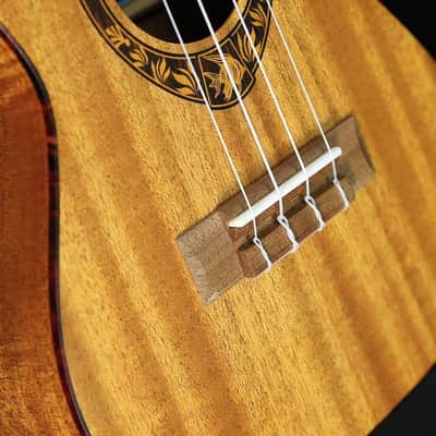 Puka Model PK-TFC Tropical Fish Rosette Natural Satin Finish Concert Ukulele image 3