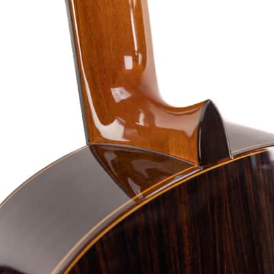 Estevé Alegria - All solid wood - Lattice Braced, Spruce/Indian Rosewood image 8