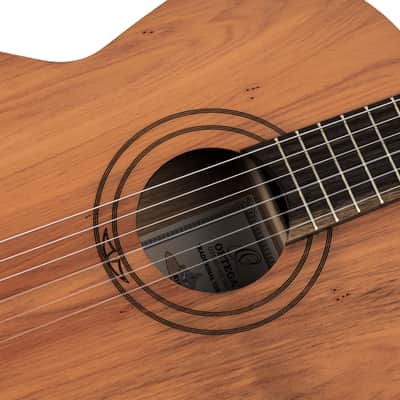Ortega R16PC Traditional Series Solid Cedar Top Beechwood Neck Nylon 4/4 Size 6-String Classical Acoustic Guitar image 13