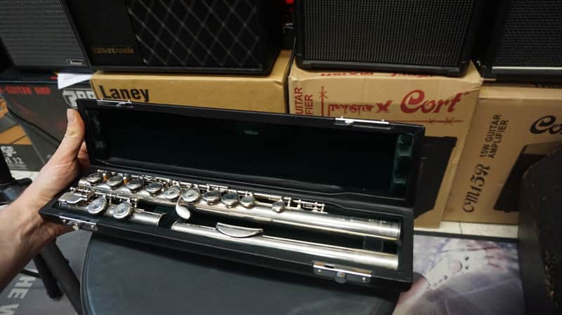 Pearl NS600E image 1