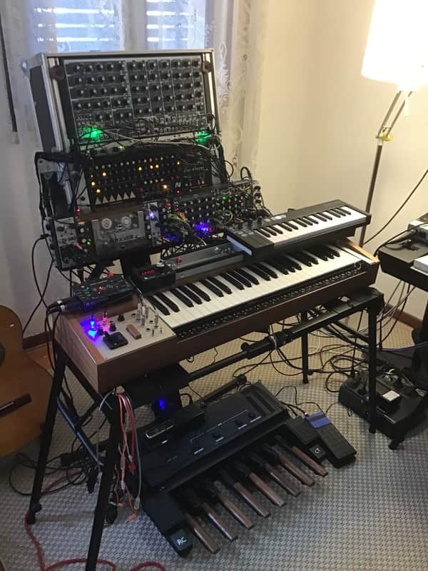 Analogue Systems French Connection 2019 - Solid Walnut image 1