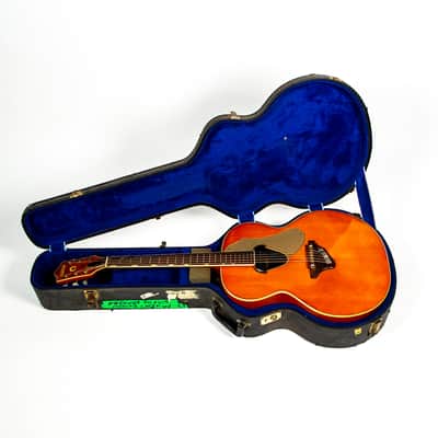 Gretsch 1960s Rancher Owned by Brian Setzer image 25
