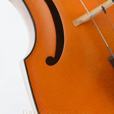 F. Upmann Viola da Gamba 1964 with bow and case image 16