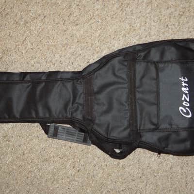 Cozart Gig Bag image 1