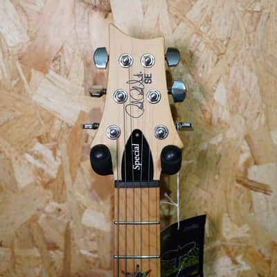 PRS SE Swamp Ash Special - Charcoal image 3