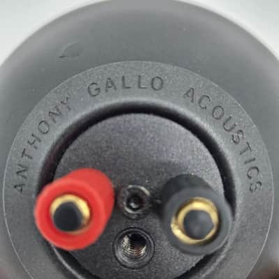 Gallo A'diva SE Speaker image 4