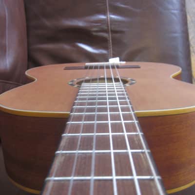 Ortega Family Series Solid Cedar Top Acoustic Classical Guitar R131SN image 5