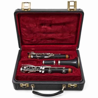 Buffet Crampon R13 Professional Bb Clarinet in Grenadilla SN F499157 image 20
