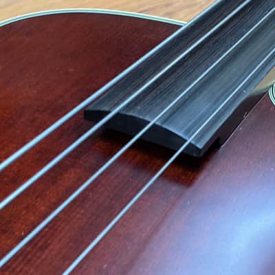 Takamine DB-10 image 10