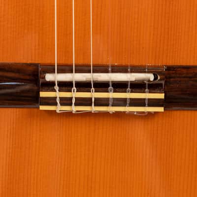 Daion DPC-999 Solid Body Acoustic / Classical 1983 Brown image 4