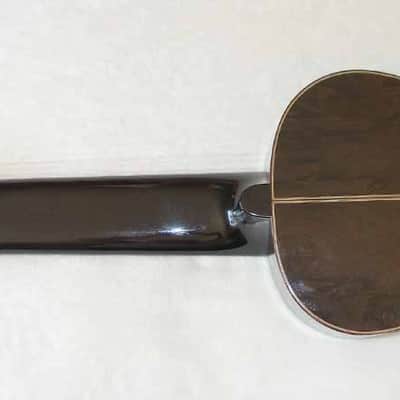 LUCIO NÚÑEZ Sophia 13-String Classical Harp Guitar, Spruce/Ziricote, w/Custom Case, Extremely Rare!! image 2