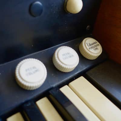 Hammond F100 Extravoice Tube Organ / Solovox / Novachord image 10