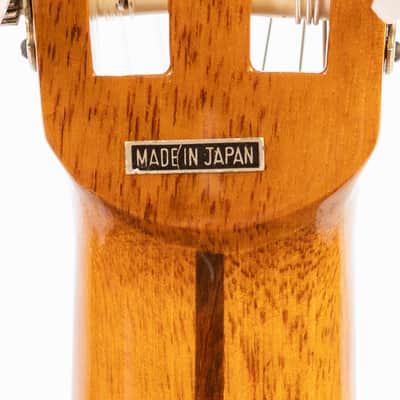 Daion GC 20 (Yamaki Built) image 10