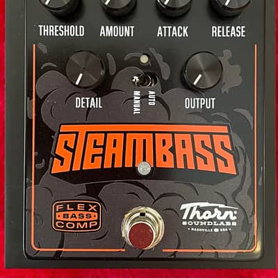 Thorn Sound Labs SteamBass 2025 image 1