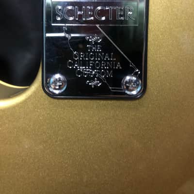 Schecter Tele image 5
