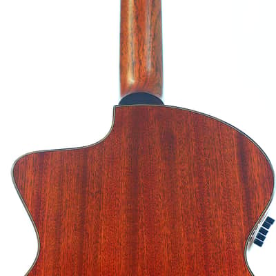Schertler SM Acoustic Guitar – A Rare Gem in Electro-Acoustic Innovation - check video! image 7