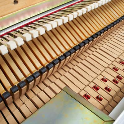 Fender Rhodes Suitcase 1970 Restored by Vintage Vibe image 11