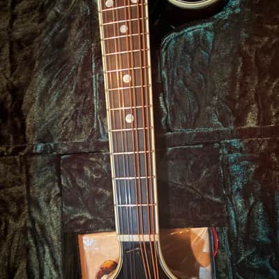 Bourgeois Guitars M5-F-BT, Bourgeois M5-F black top f- style mandolin- aged tone Adirondack/ European maple. 2025 - High gloss finish. Bourgeois M5-F black top f- style mandolin- aged tone Adirondack/ European maple. Mint condition. image 15