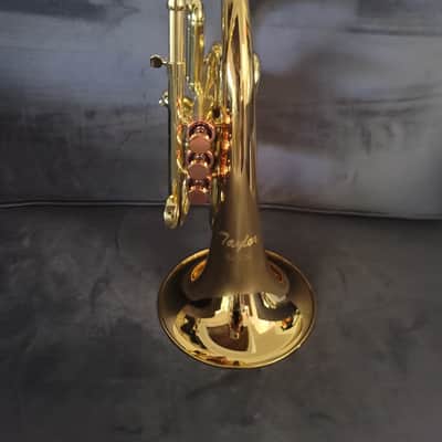 Carol Brass Compact Flugelhorn / Taylor Phat Puppy 2023 - Polished / Lacquered image 8