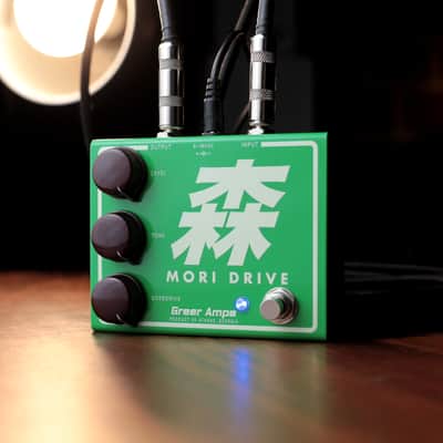 Greer Mori Drive imagen 1