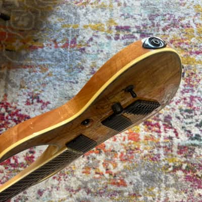 B.C. Rich Shredzilla Extreme 8 Exotic Electric Guitar, Spalted Maple, BRAND NEW!!! With BC Rich Gig! image 10
