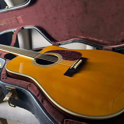 Martin Trey Anastasio Signature Edition DC Fishman Ellipse image 17