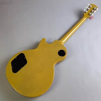 Gibson Les Paul Special TV Yellow　2019 image 6