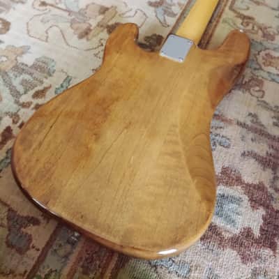 1973 Fender Precision Bass With Fretless Rosewood Fingerboard image 14