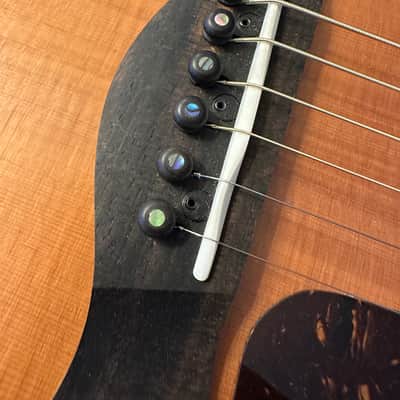 Taylor GS Mini-e 2025 Special Edition Sunset Blvd image 9